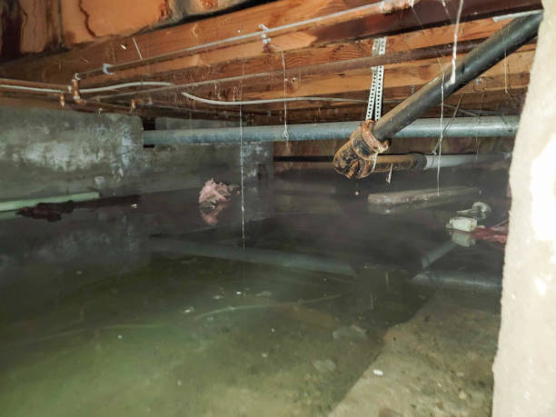 Water damage restoration experts in Jackson, AL