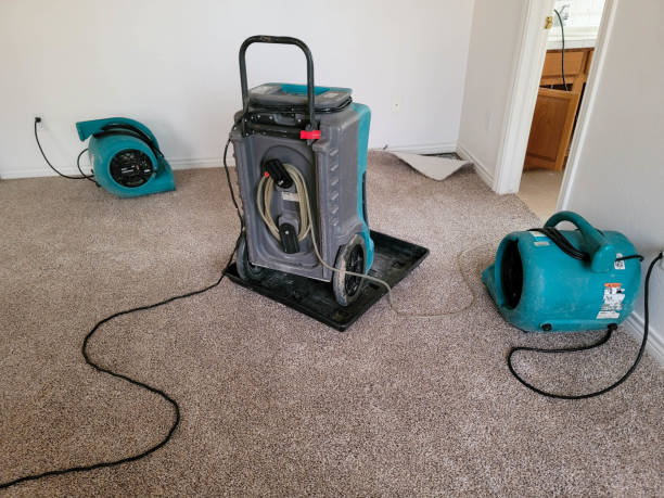 Best Water damage restoration near me  in Jackson, AL