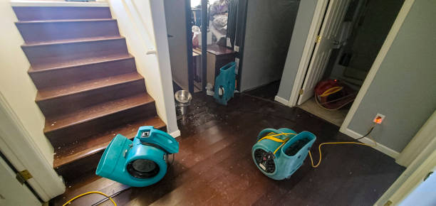 Best Flood restoration services  in Jackson, AL