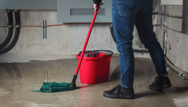 Best Water damage restoration near me  in Jackson, AL