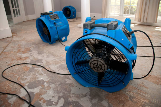 Professional Water damage restoration in Jackson, AL