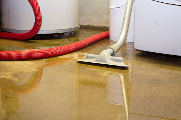 Sewage cleanup and water damage restoration in Jackson, AL