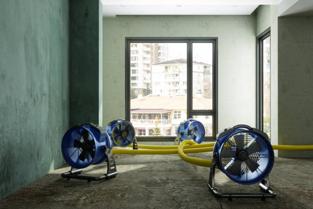 Best Ceiling water damage repair  in Jackson, AL